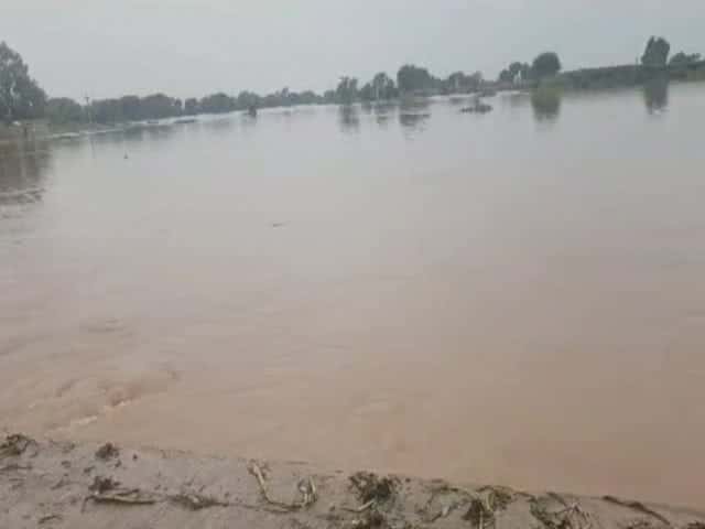 अनूपगढ़ के 91GB गांव में घग्घर नदी बांध में 15 फीट चौड़ा कटाव, खेतों में फैला पानी