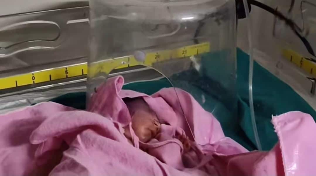 लूणकरणसर: झाड़ियों में फेंकी गई नवजात कन्या की जान बचाई, टाइगर फोर्स ने दिखाई नायाब मानवता