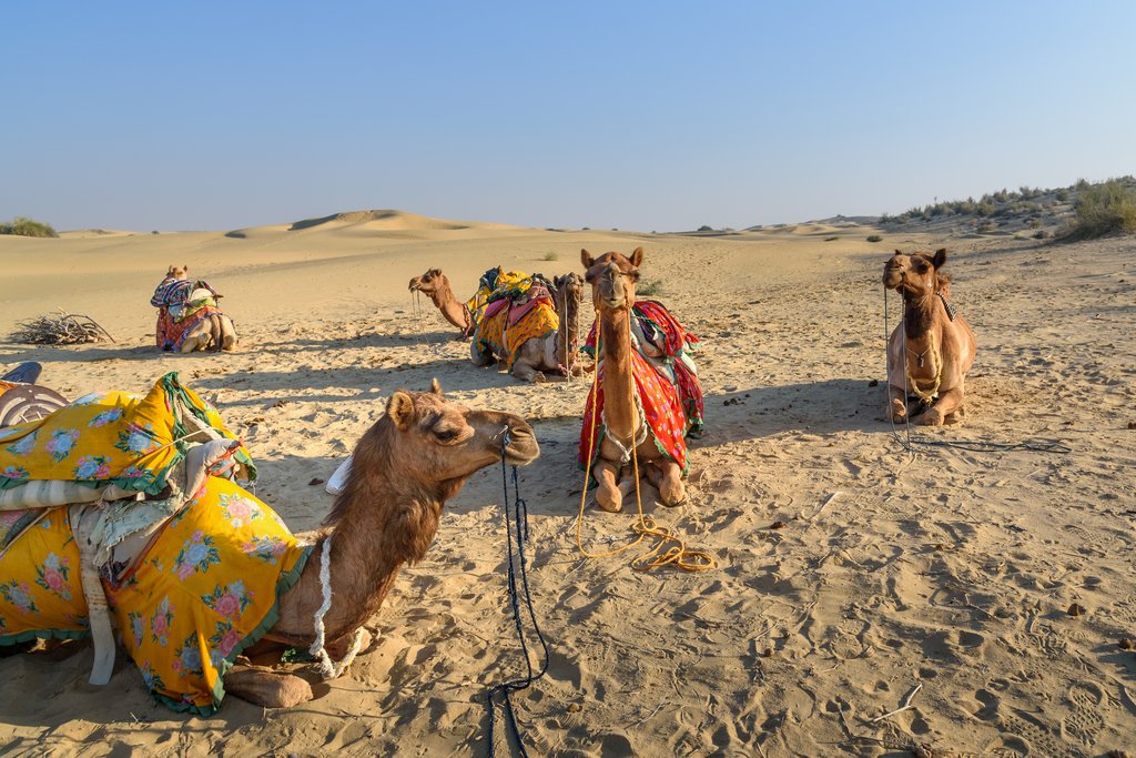 राजस्थान में बारिश का दौर थमा, मौसम हुआ सुहावना